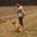 IMG 3730.thumbnail.JPG