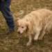 IMG 3743.thumbnail.JPG