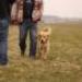 IMG 3745.thumbnail.JPG