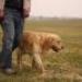 IMG 3746.thumbnail.JPG