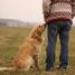 IMG 3747.thumbnail.JPG