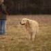 IMG 3748.thumbnail.JPG