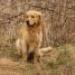 IMG 3757.thumbnail.JPG