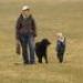 IMG 3761.thumbnail.JPG