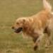 IMG 3765.thumbnail.JPG