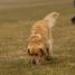 IMG 3769.thumbnail.JPG
