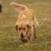 IMG 3770.thumbnail.JPG