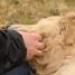 IMG 3773.thumbnail.JPG