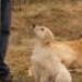 IMG 3785.thumbnail.JPG