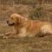 IMG 3789.thumbnail.JPG