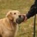 IMG 3791.thumbnail.JPG