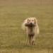 IMG 3792.thumbnail.JPG