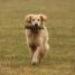 IMG 3793.thumbnail.JPG