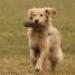 IMG 3795.thumbnail.JPG
