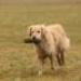 IMG 3796.thumbnail.JPG