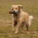 IMG 3797.thumbnail.JPG