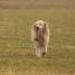 IMG 3807.thumbnail.JPG