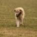 IMG 3808.thumbnail.JPG