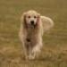 IMG 3813.thumbnail.JPG