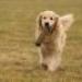 IMG 3814.thumbnail.JPG