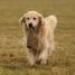 IMG 3817.thumbnail.JPG