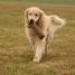 IMG 3822.thumbnail.JPG