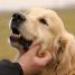 IMG 3828.thumbnail.JPG