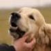 IMG 3829.thumbnail.JPG