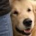 IMG 3834.thumbnail.JPG