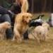 IMG 3844.thumbnail.JPG