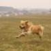 IMG 3846.thumbnail.JPG