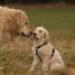 IMG 3855.thumbnail.JPG