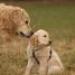 IMG 3857.thumbnail.JPG