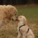 IMG 3858.thumbnail.JPG