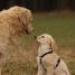 IMG 3859.thumbnail.JPG