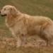 IMG 3860.thumbnail.JPG