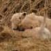 IMG 3863.thumbnail.JPG