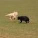 IMG 3870.thumbnail.JPG