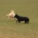 IMG 3871.thumbnail.JPG