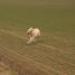 IMG 3873.thumbnail.JPG
