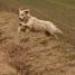 IMG 3875.thumbnail.JPG