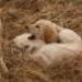 IMG 3879.thumbnail.JPG