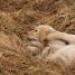 IMG 3880.thumbnail.JPG