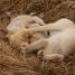IMG 3881.thumbnail.JPG