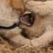 IMG 3887.thumbnail.JPG