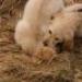 IMG 3891.thumbnail.JPG