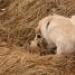 IMG 3892.thumbnail.JPG