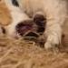 IMG 3895.thumbnail.JPG