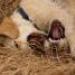 IMG 3897.thumbnail.JPG
