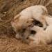 IMG 3909.thumbnail.JPG